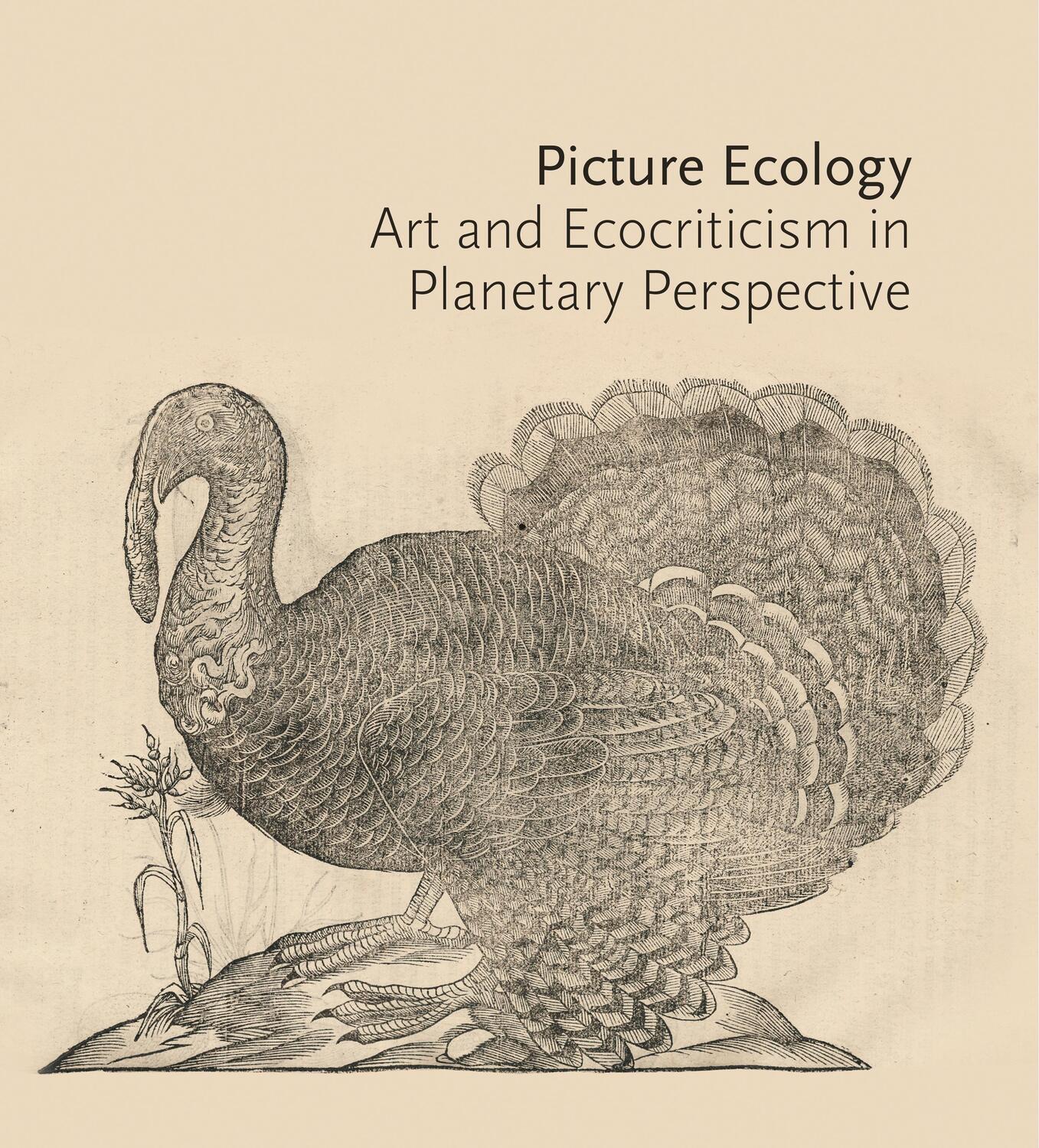 Cover: 9780691236018 | Picture Ecology | Art and Ecocriticism in Planetary Perspective | Buch