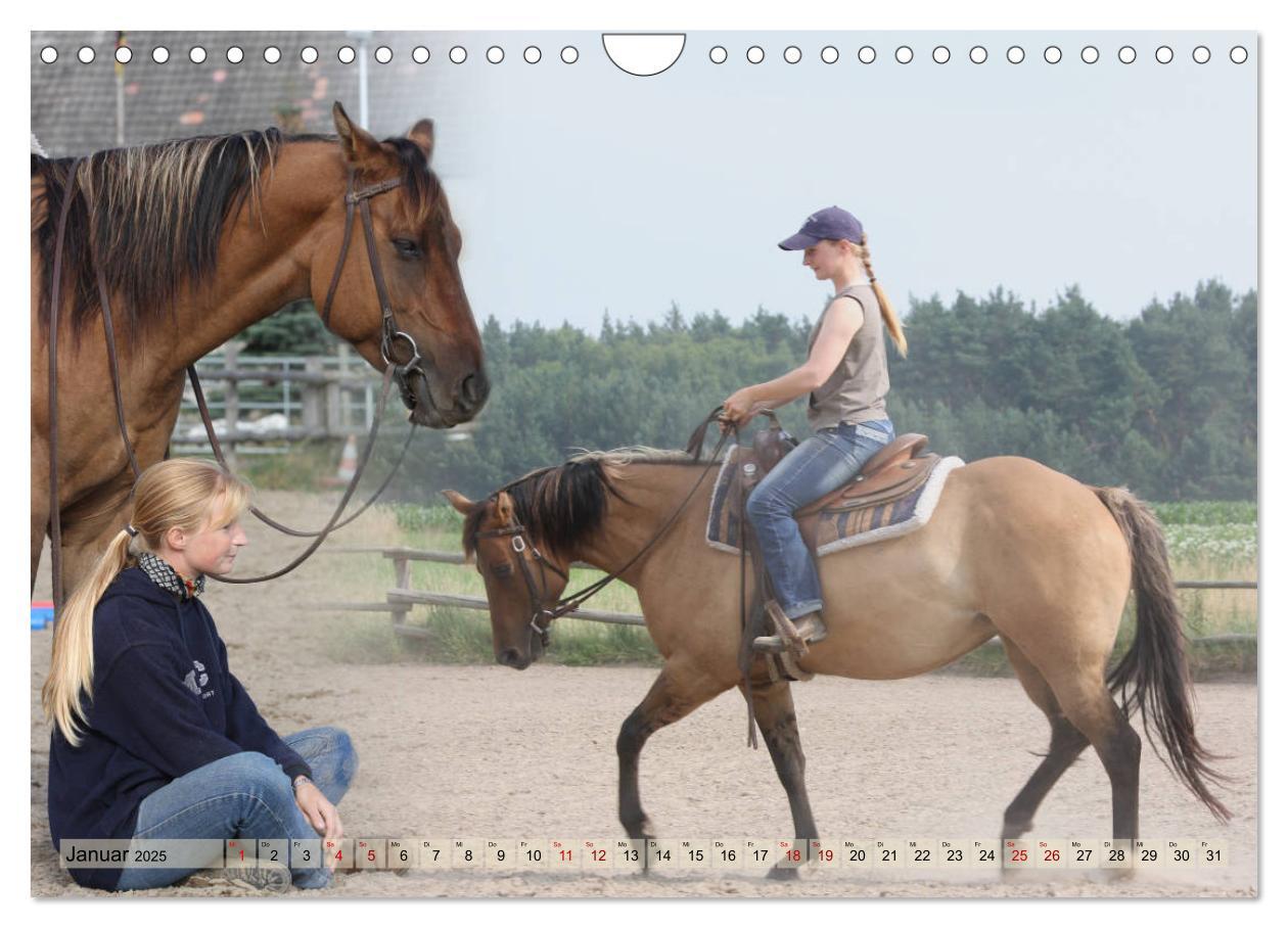 Bild: 9783435412143 | Quarter Horses - Die größte Zuchtbuchrasse der Welt (Wandkalender...