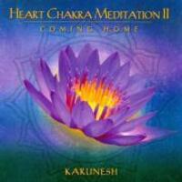 Cover: 851324002023 | Heart Chakra Meditation Vol. 2 | Karunesh | Audio-CD | 2009