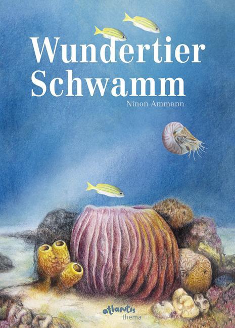 Cover: 9783715207490 | Wundertier Schwamm | Ninon Ammann | Buch | gebunden | Deutsch | 2019