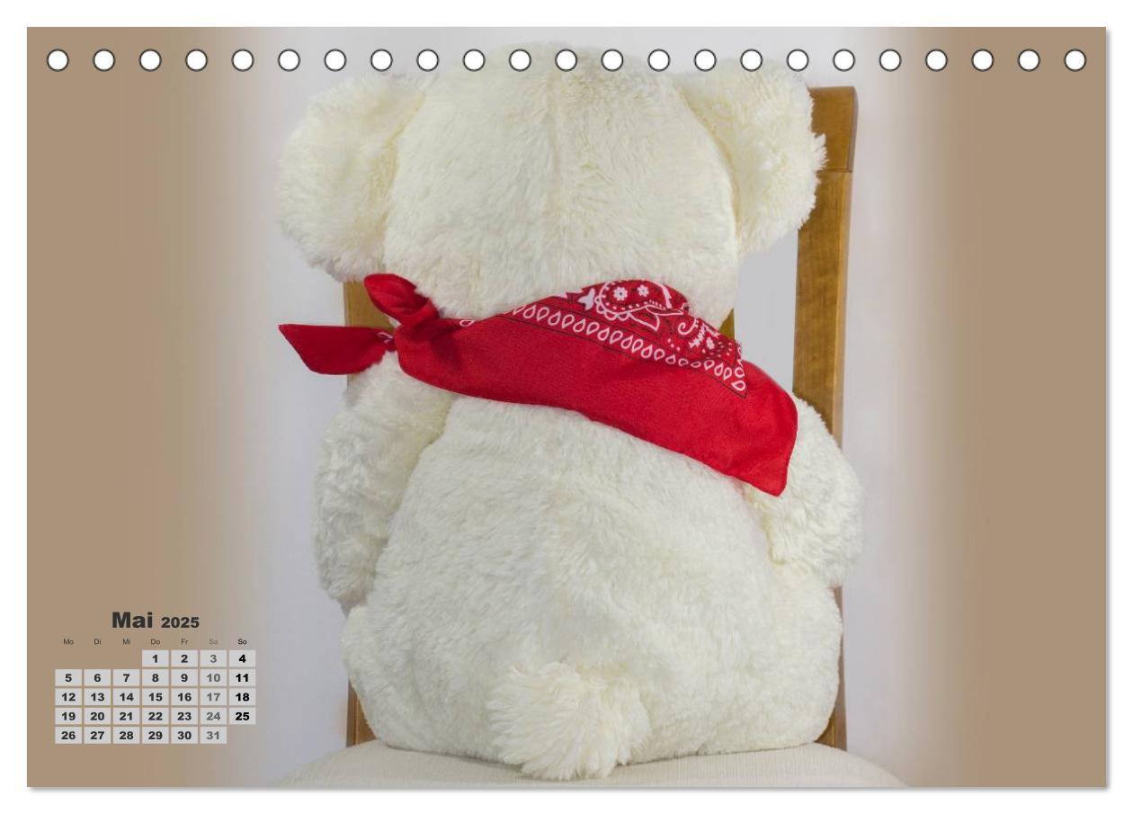 Bild: 9783435501601 | Teddys, wollen wir Kalender anschauen? (Tischkalender 2025 DIN A5...