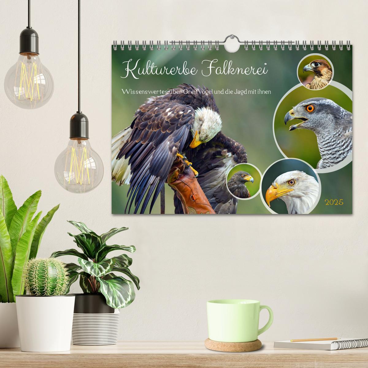 Bild: 9783383844355 | Kulturerbe Falknerei (Wandkalender 2025 DIN A4 quer), CALVENDO...