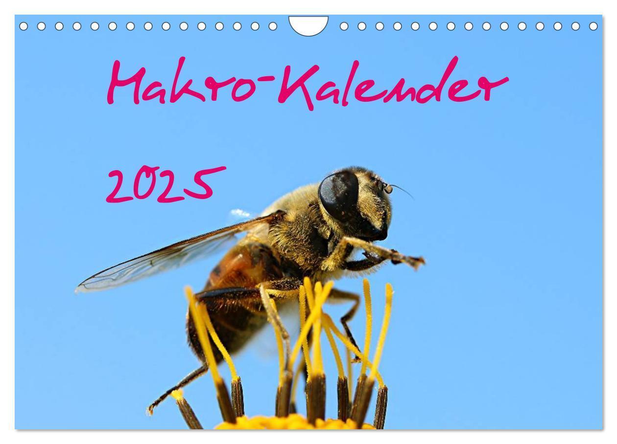 Cover: 9783435796298 | Makro-Kalender 2025 (Wandkalender 2025 DIN A4 quer), CALVENDO...