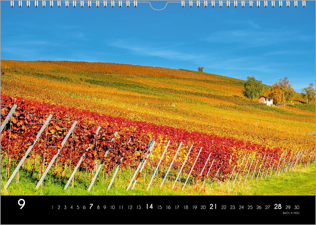 Bild: 9783969031087 | Der Weinkalender 2025, DIN A3 - ein Fotokalender | Peter Bach Jr.