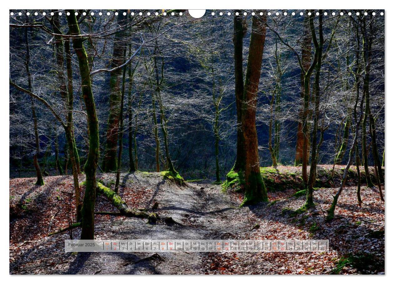 Bild: 9783435460014 | Wald im Bergischen Land 2025 (Wandkalender 2025 DIN A3 quer),...