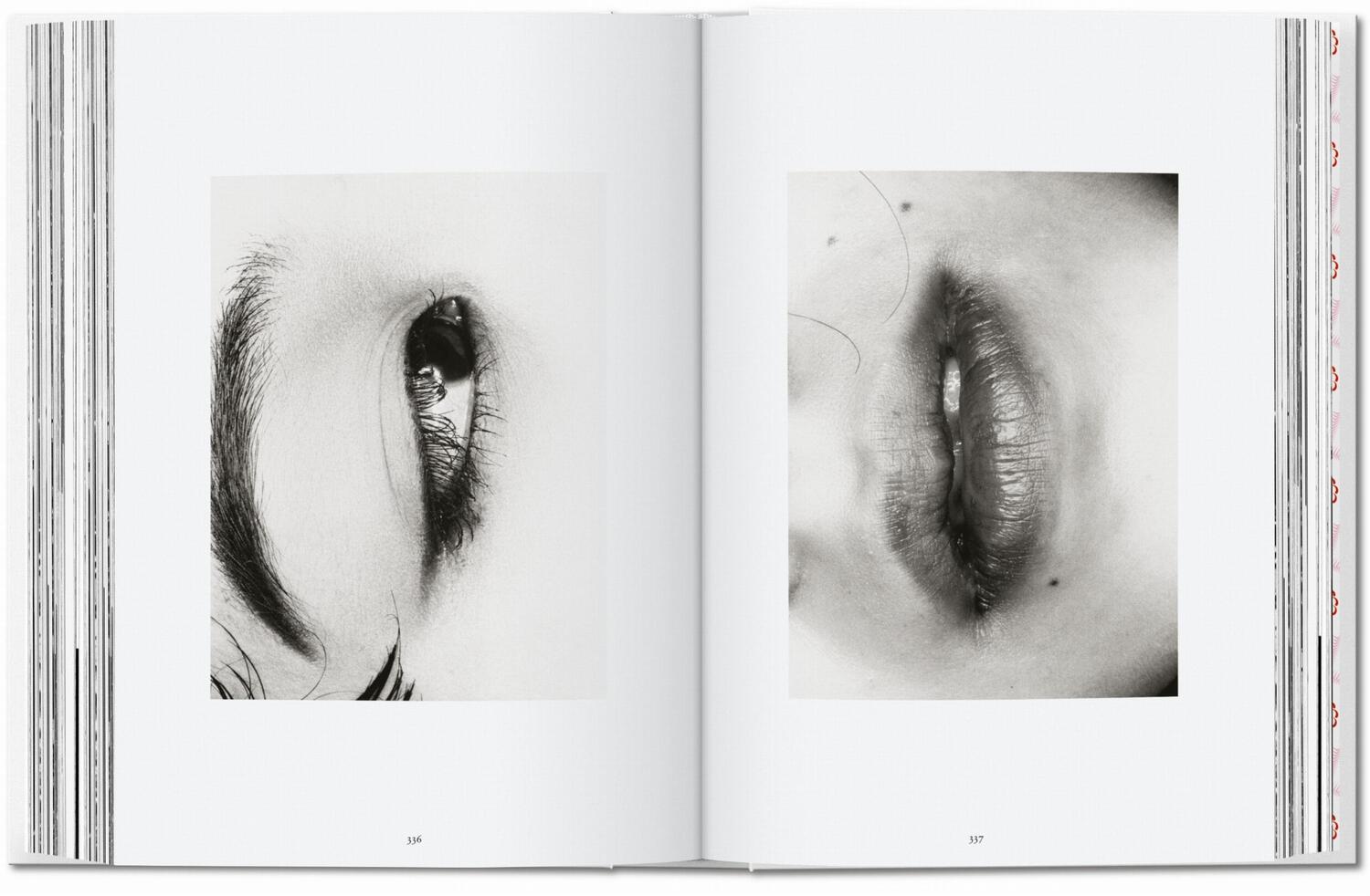 Bild: 9783836582520 | Araki. 40th Ed. | Nobuyoshi Araki | Buch | GER, Hardcover | 512 S.