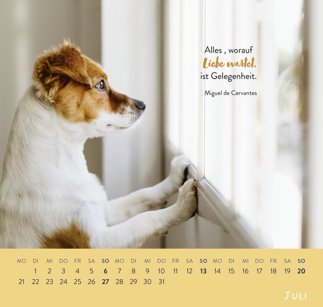 Bild: 4036442011867 | Wandkalender 2025: Für Hundefreunde | Groh Verlag | Kalender | 12 S.