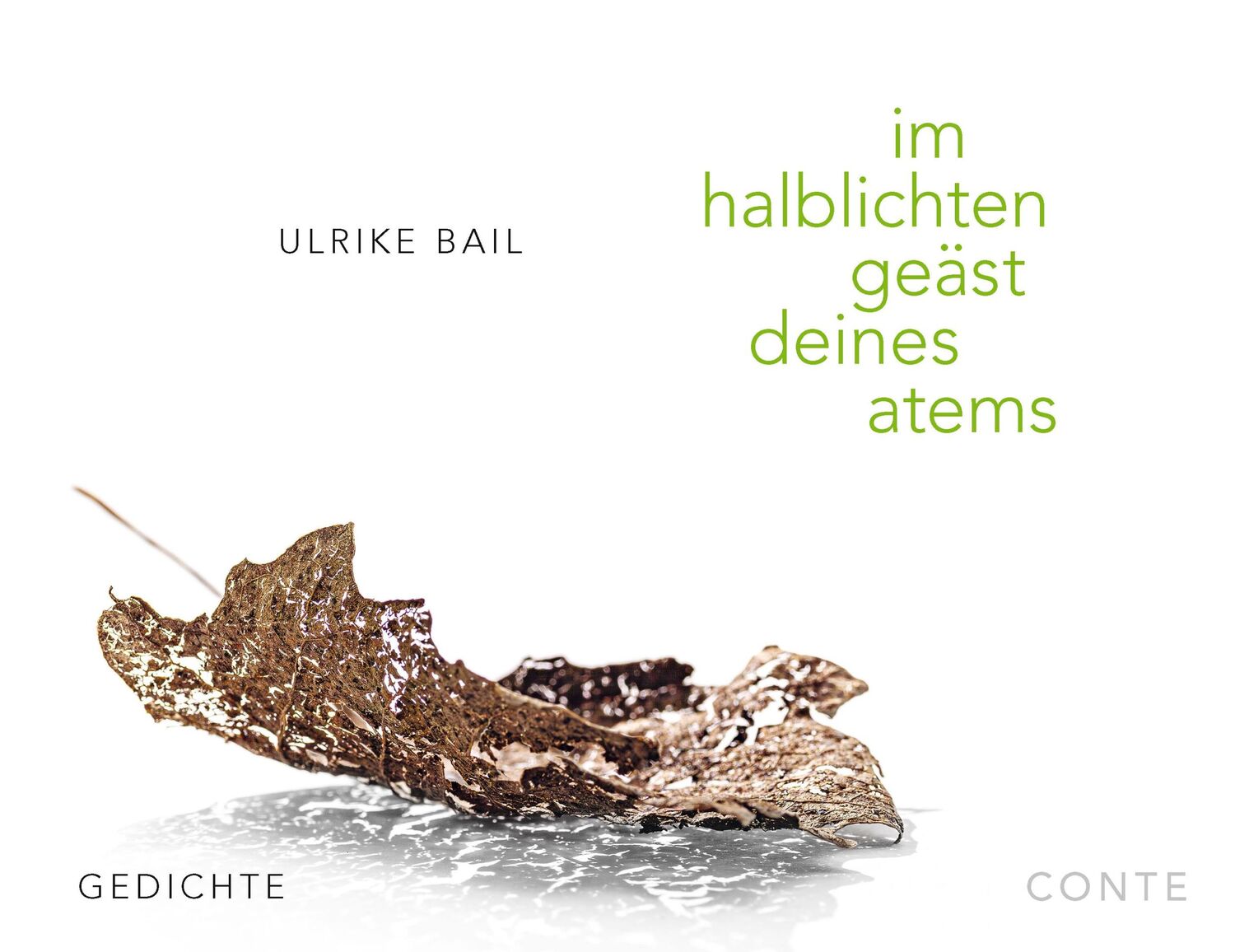 Cover: 9783956022661 | im halblichten geäst deines atems | Gedichte | Ulrike Bail | Buch