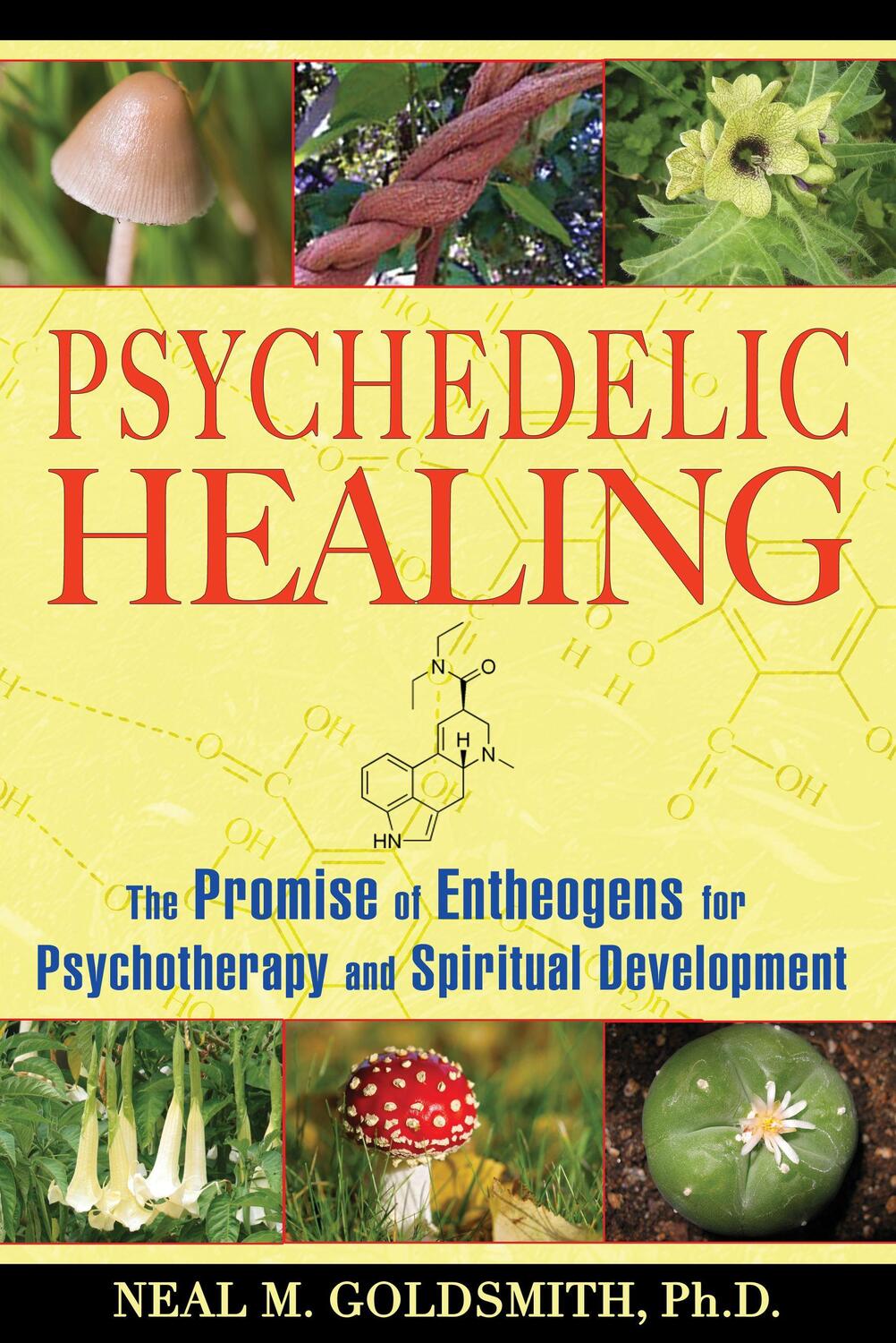 Cover: 9781594772504 | Psychedelic Healing: The Promise of Entheogens for Psychotherapy...