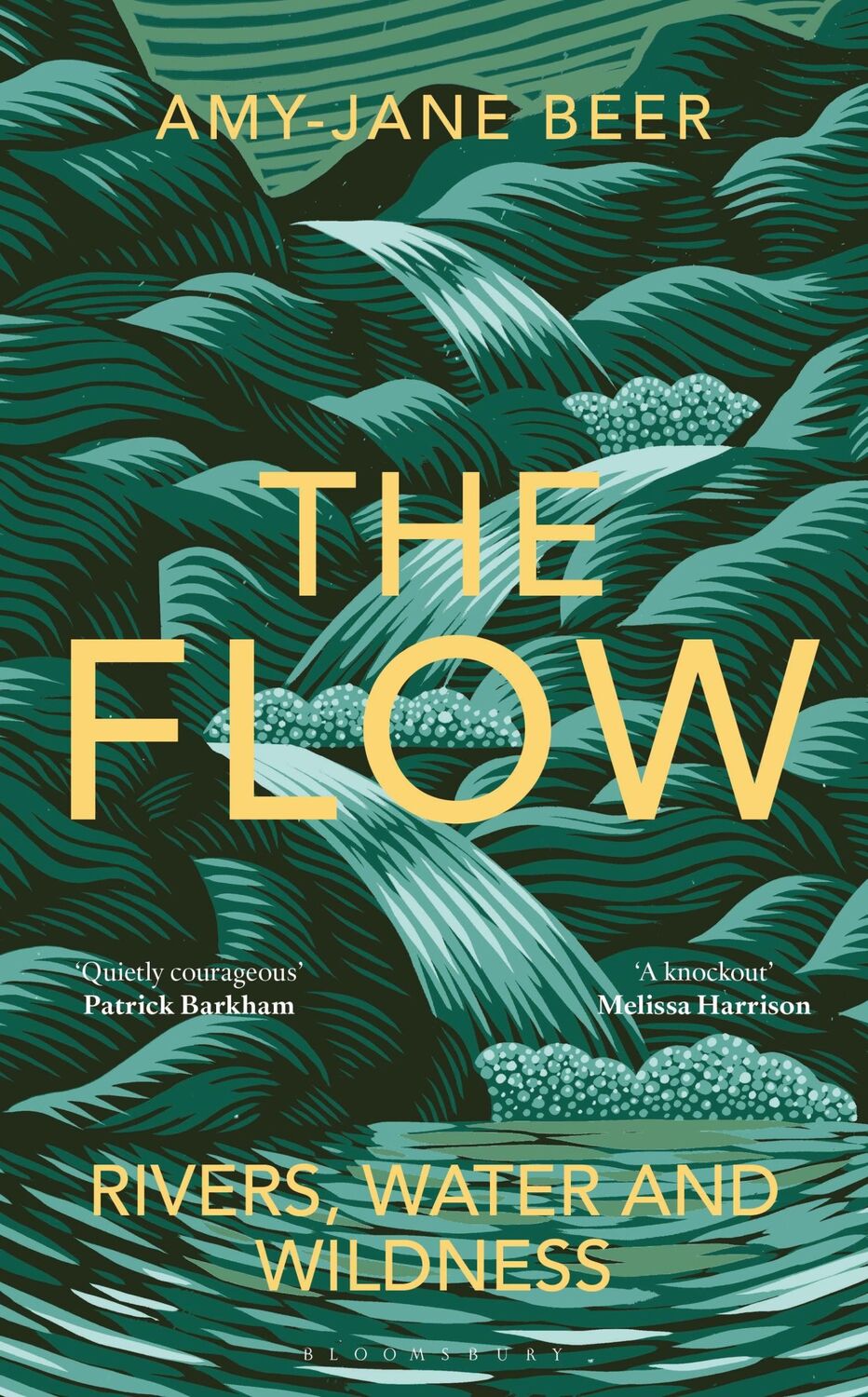 Cover: 9781472977397 | The Flow | Amy-Jane Beer | Buch | Gebunden | Englisch | 2022