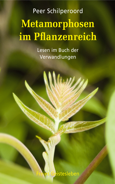 Cover: 9783772523915 | Metamorphosen im Pflanzenreich | Lesen im Buch der Verwandlungen