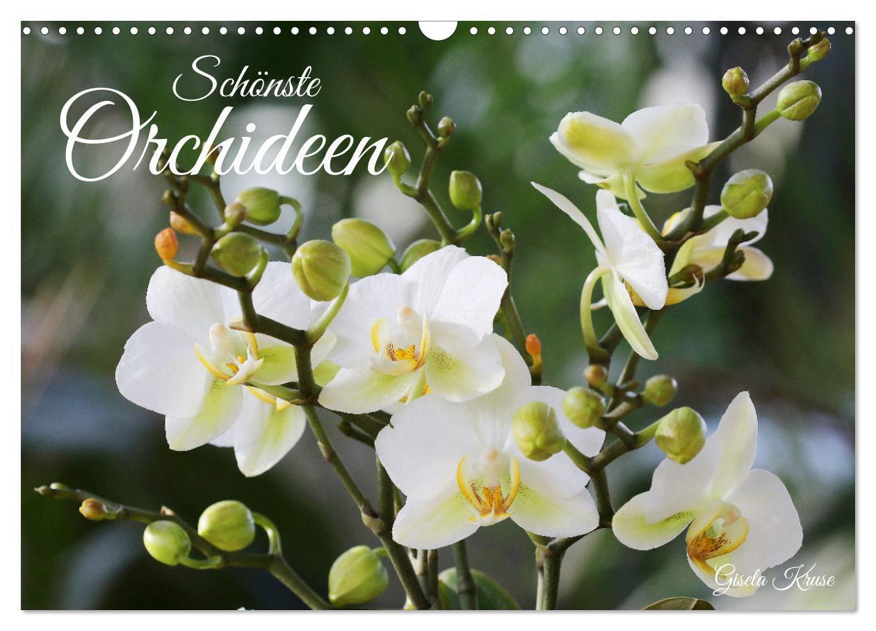 Cover: 9783675425286 | Schönste Orchideen (Wandkalender 2024 DIN A3 quer), CALVENDO...