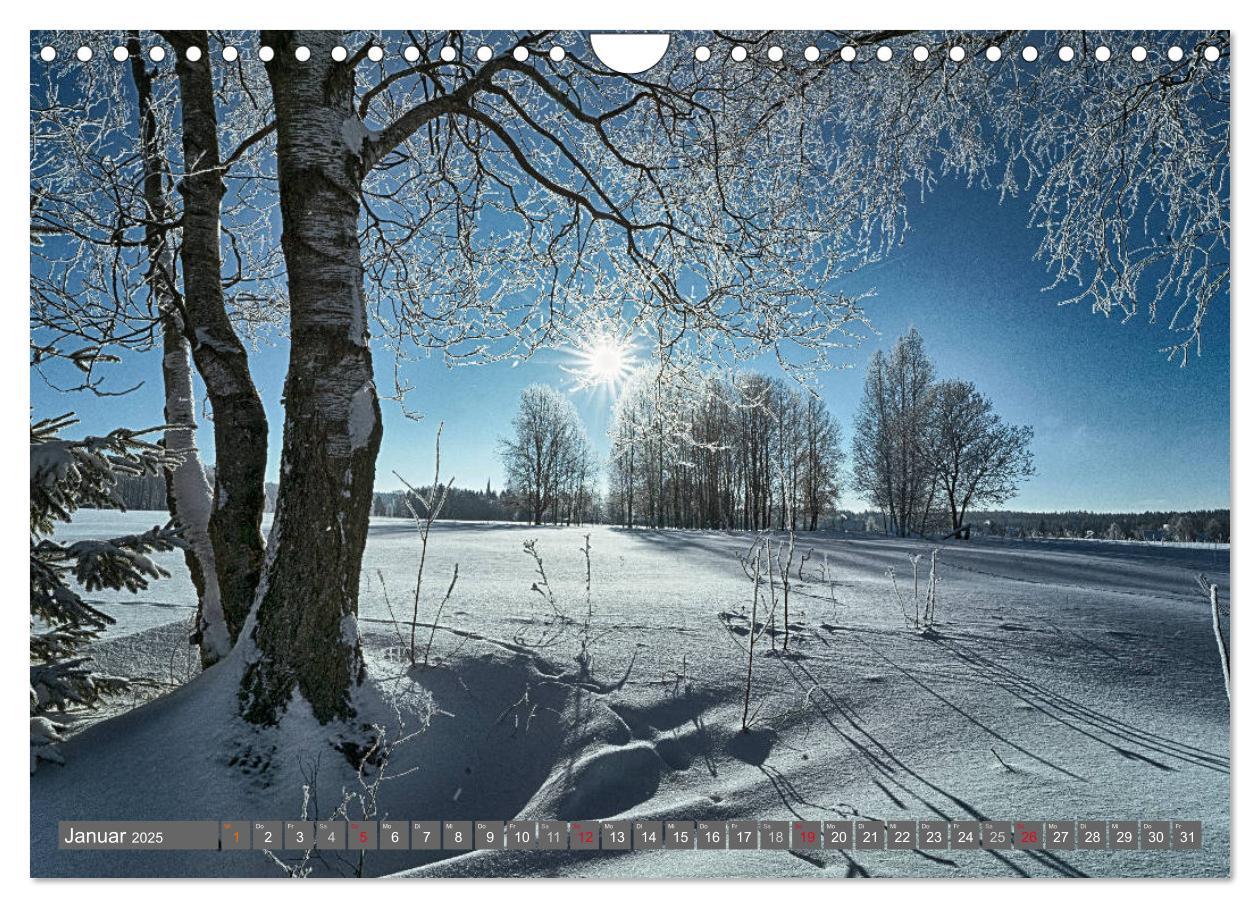 Bild: 9783435629237 | Vogtland - Impressionen (Wandkalender 2025 DIN A4 quer), CALVENDO...