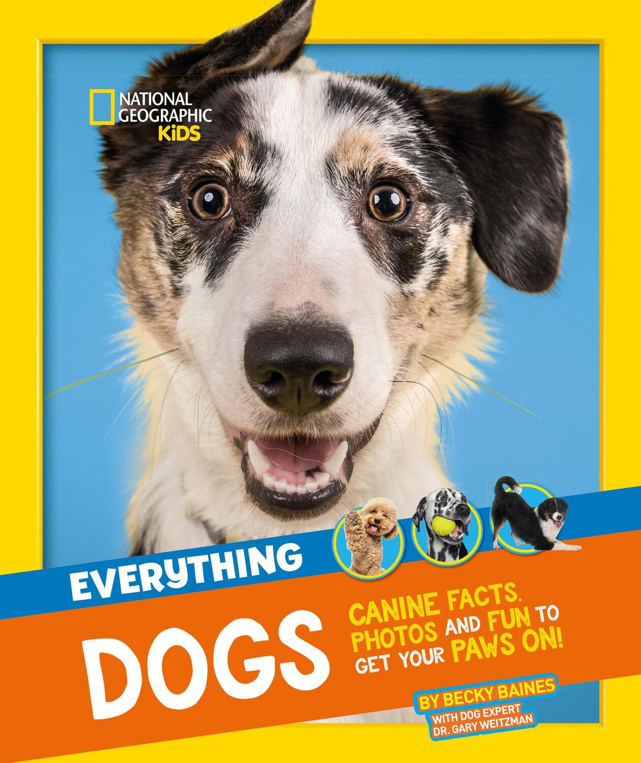 Cover: 9780008541569 | Everything: Dogs | Canine Facts, Photos and Fun to Get Your Paws on!