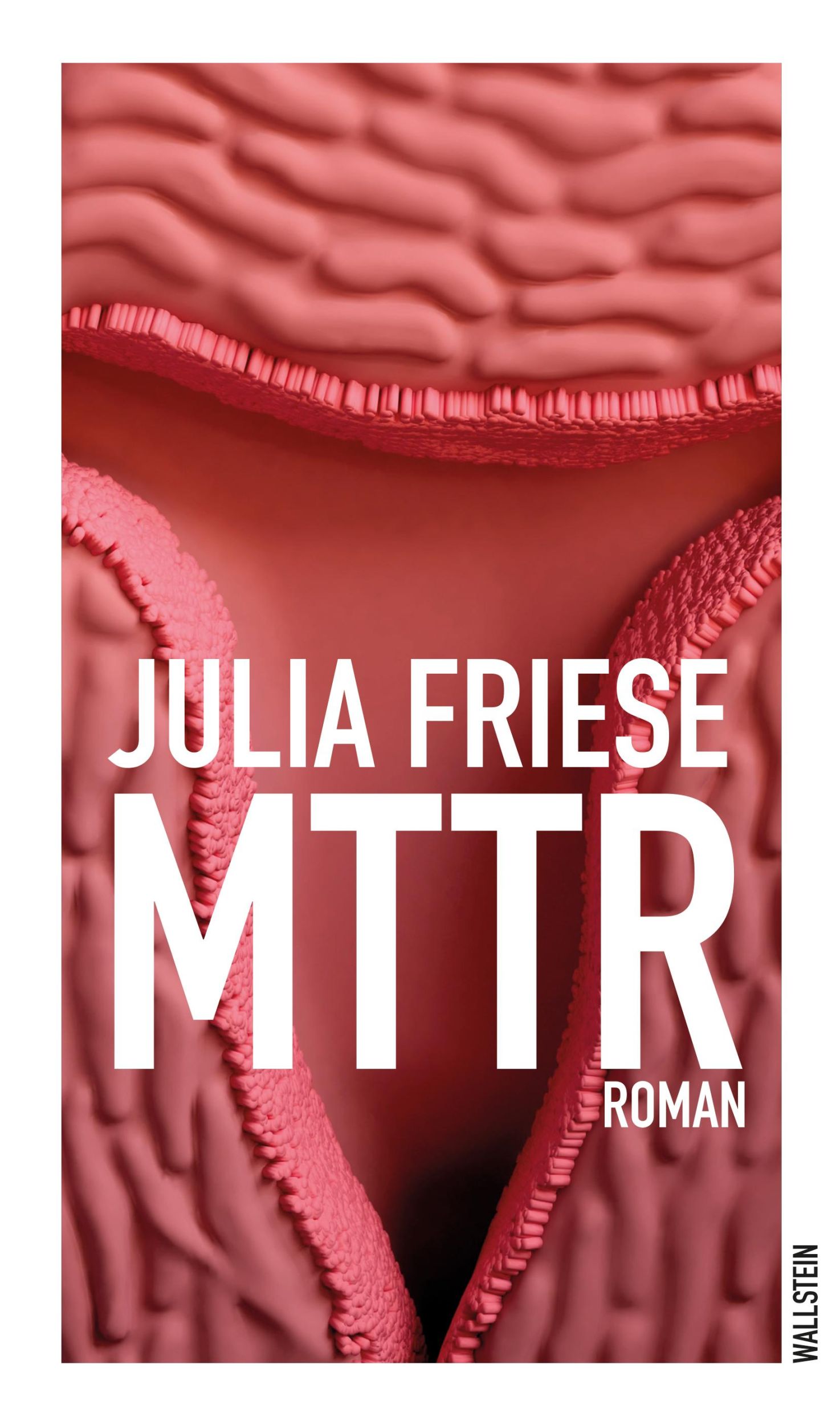 Cover: 9783835352575 | MTTR | Roman | Julia Friese | Buch | 421 S. | Deutsch | 2022