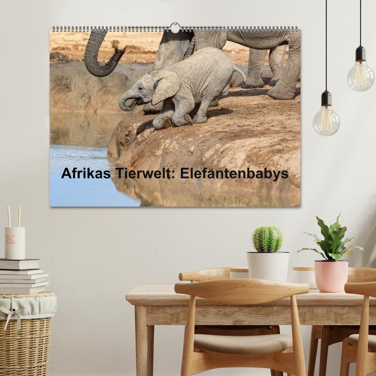 Bild: 9783435716258 | Afrikas Tierwelt: Elefantenbabys (Wandkalender 2025 DIN A2 quer),...