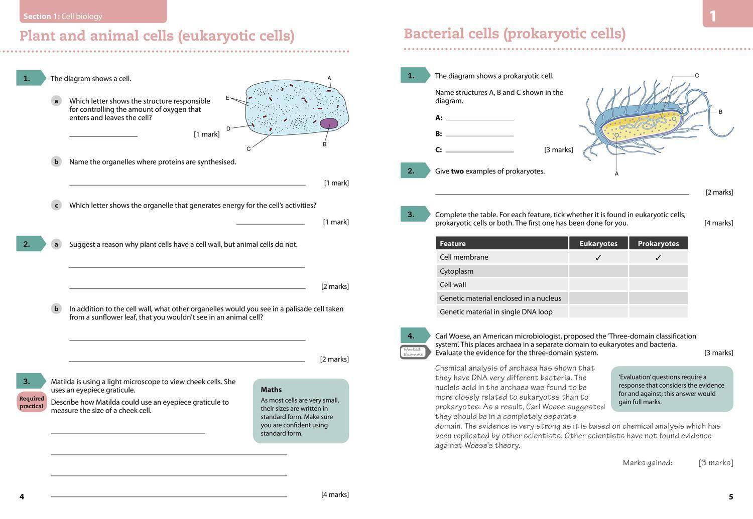 Bild: 9780008194338 | Aqa GCSE Biology 9-1 Grade 8/9 Booster Workbook | Collins Uk | Buch