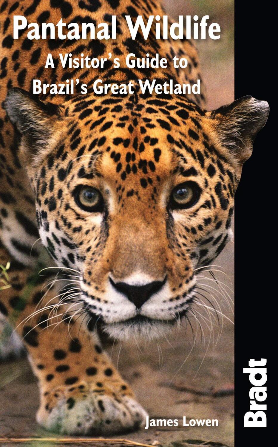 Cover: 9781841623054 | Bradt Pantanal Wildlife: A Visitor's Guide to Brazil's Great Wetland