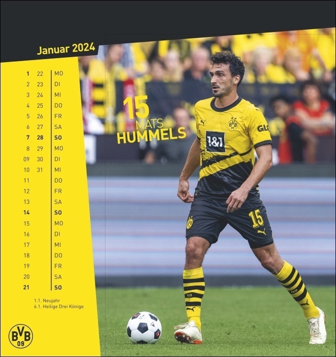 Bild: 9783756400782 | BVB Postkartenkalender 2024. Kleiner Kalender für große Fans: Die...