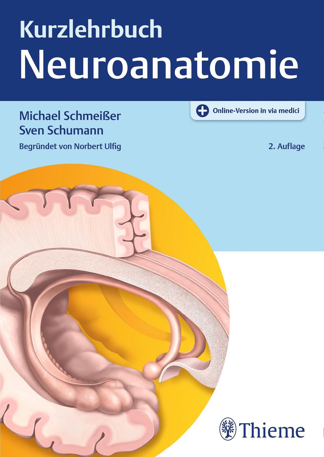 Cover: 9783131429520 | Kurzlehrbuch Neuroanatomie | Michael Schmeißer (u. a.) | Bundle | 2020