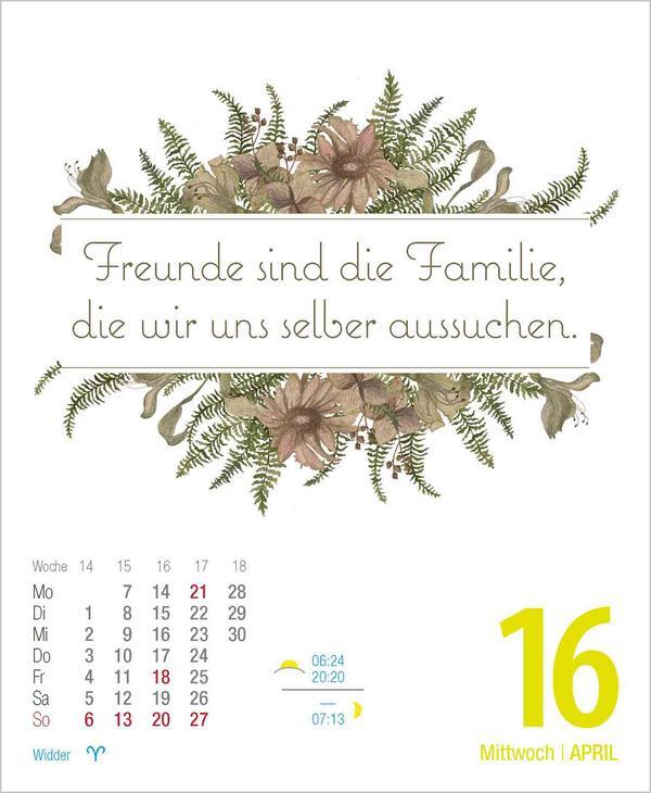 Bild: 9783731877455 | Visual Words 2025 | TypoArt Tages-Abreisskalender | Verlag Korsch