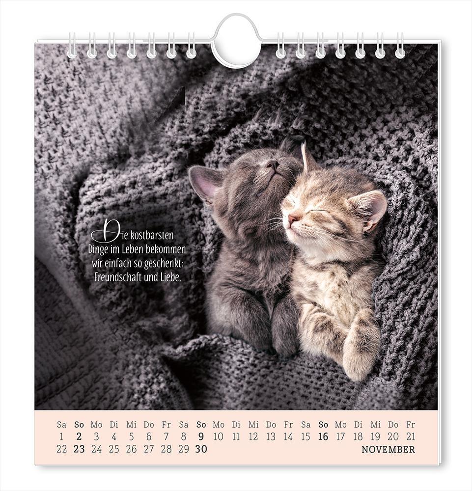Bild: 9783986361181 | Postkartenkalender 2025 Lebenszeichen | Postkartenkalender | Original