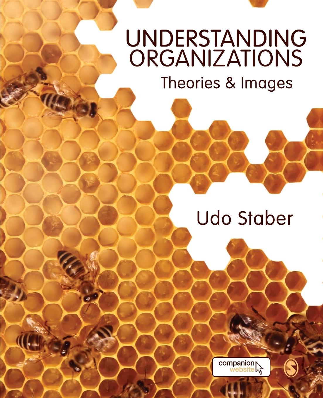 Cover: 9781849207416 | Understanding Organizations | Udo Staber | Taschenbuch | Englisch