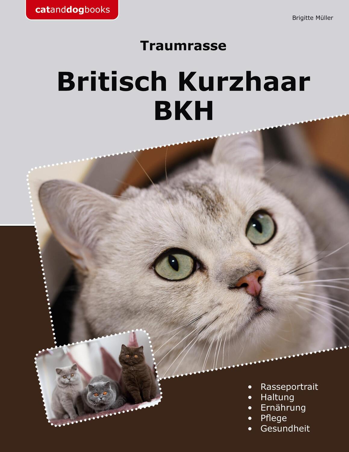 Cover: 9783758366123 | Traumrasse Britisch Kurzhaar | BKH | Brigitte Müller | Taschenbuch