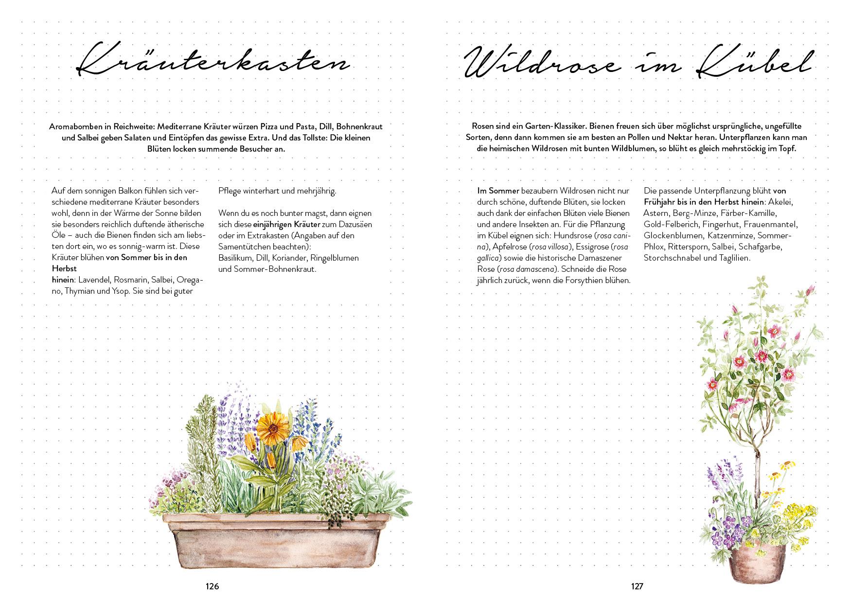 Bild: 9783745912456 | Mein Bienengarten - Das illustrierte Gartenbuch | Bärbel Oftring