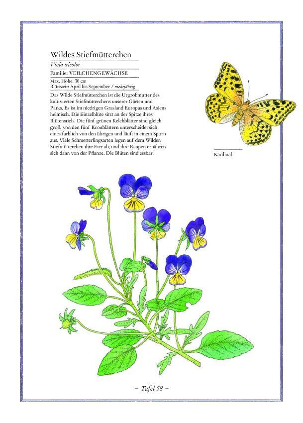 Bild: 9783836959490 | Lavendel, Lilie, Löwenzahn | Die Welt der Blumen | Aladjidi (u. a.)