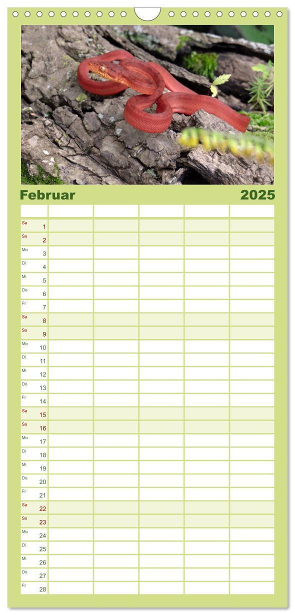 Bild: 9783457125281 | Familienplaner 2025 - Schlangen mit 5 Spalten (Wandkalender, 21 x...