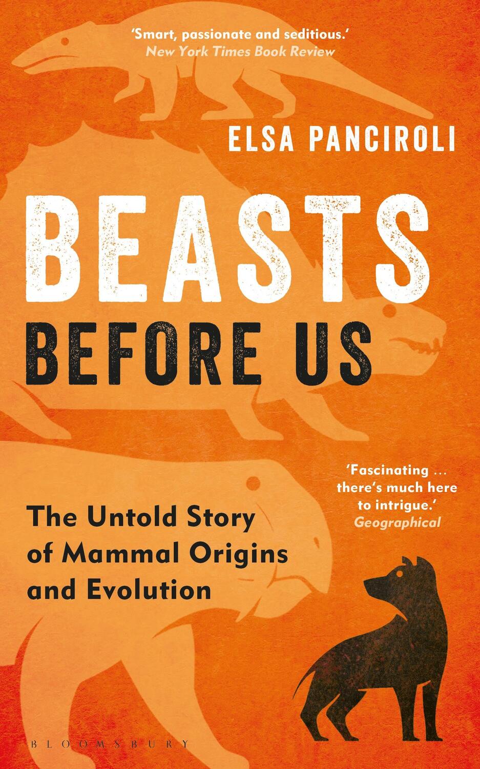 Cover: 9781472983985 | Beasts Before Us | The Untold Story of Mammal Origins and Evolution