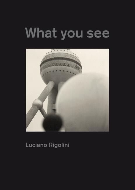 Cover: 9783037781395 | Luciano Rigolini - What You See | Luciano Rigolini | Buch | 157 S.