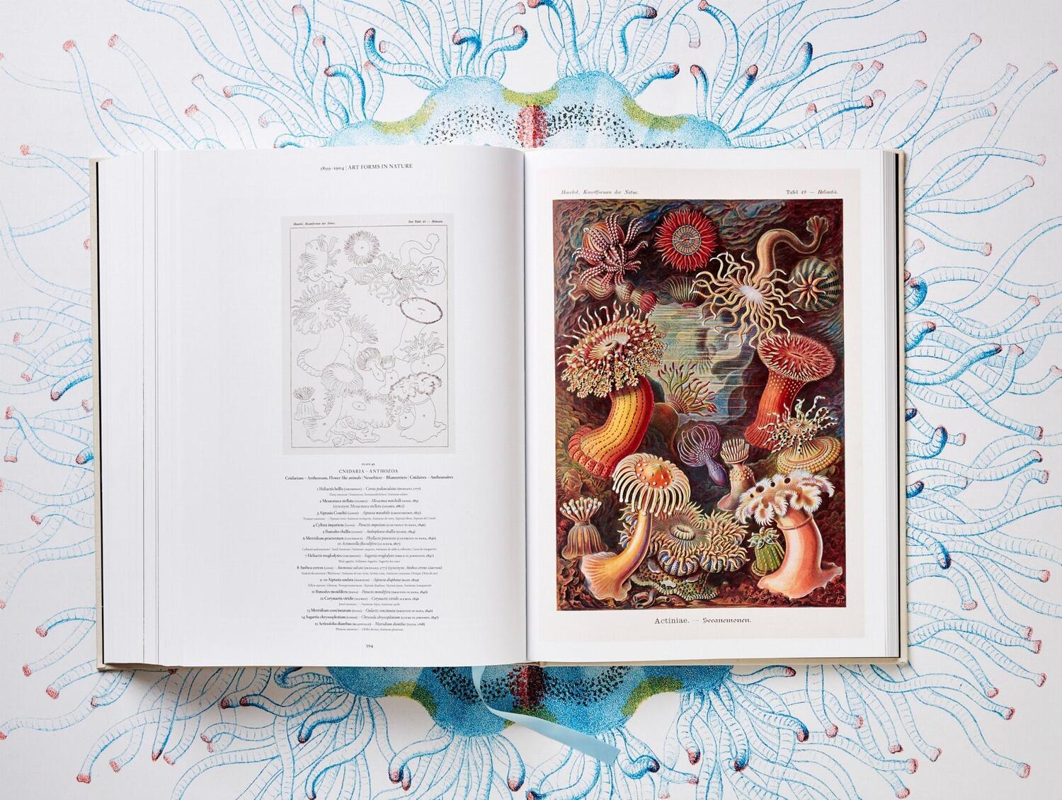 Bild: 9783836526463 | The Art and Science of Ernst Haeckel | Julia Voss (u. a.) | Buch