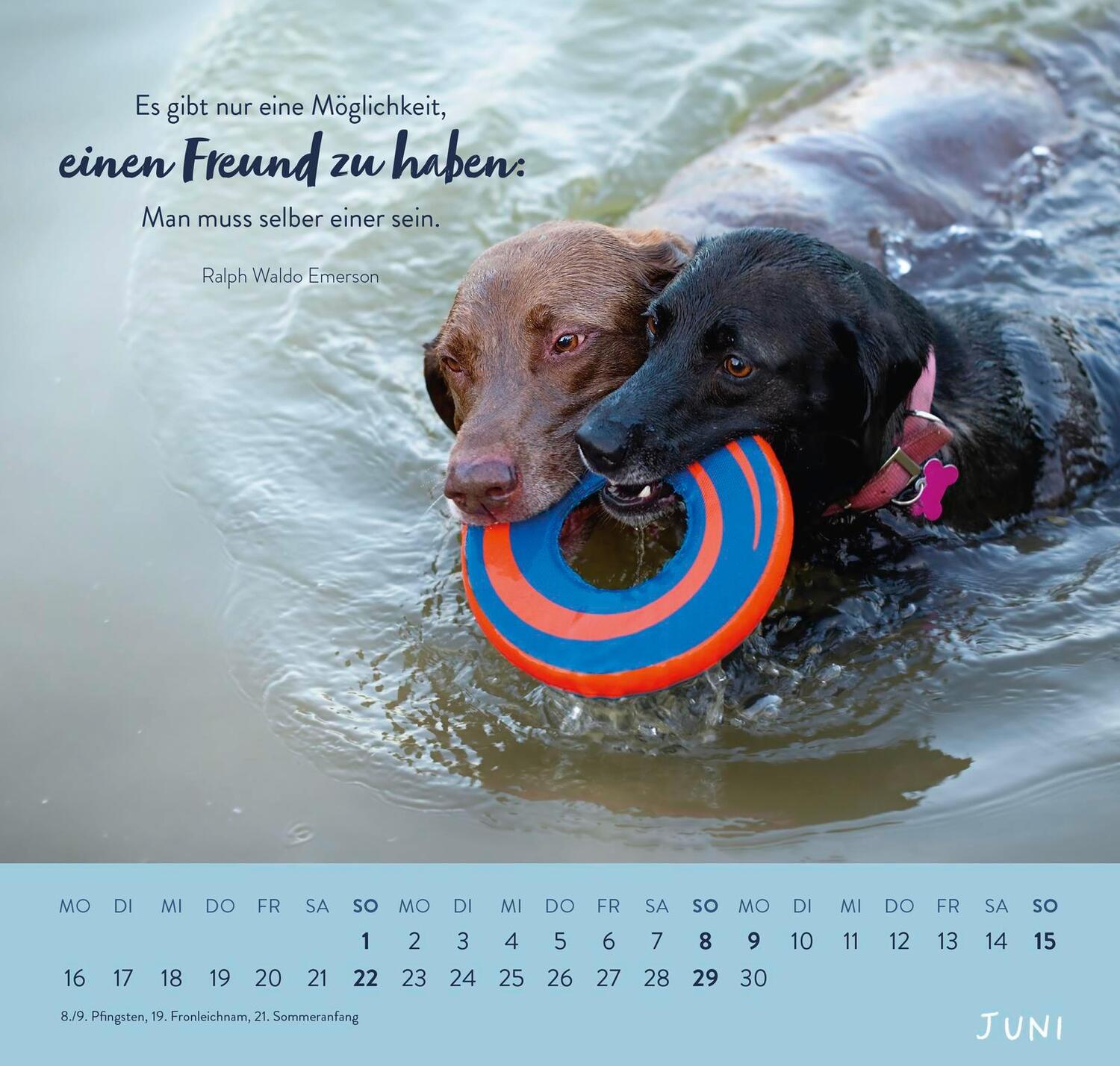 Bild: 4036442011867 | Wandkalender 2025: Für Hundefreunde | Groh Verlag | Kalender | 12 S.