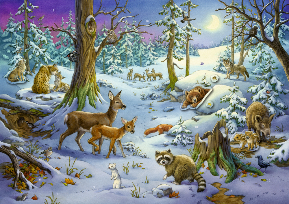 Cover: 4050003952536 | Sticker-Adventskalender | Tiere im Winterwald | Ute Simon | Kalender