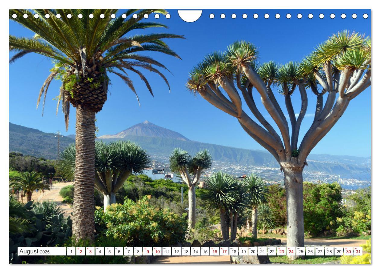 Bild: 9783457222508 | Teneriffa - Insel der Glückseligen (Wandkalender 2025 DIN A4 quer),...