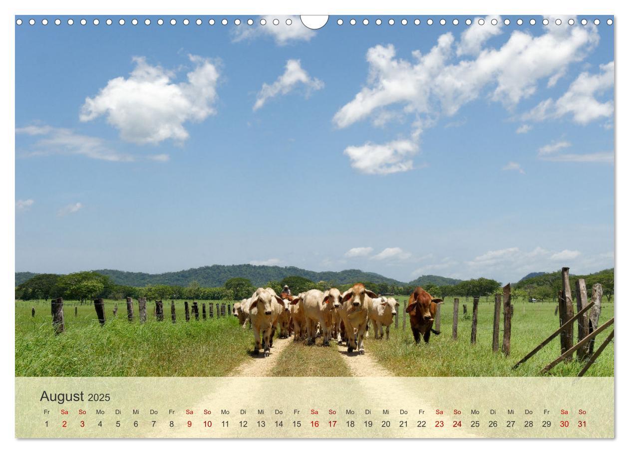 Bild: 9783383841439 | Bekanntes und Unbekanntes Costa Rica (Wandkalender 2025 DIN A3...