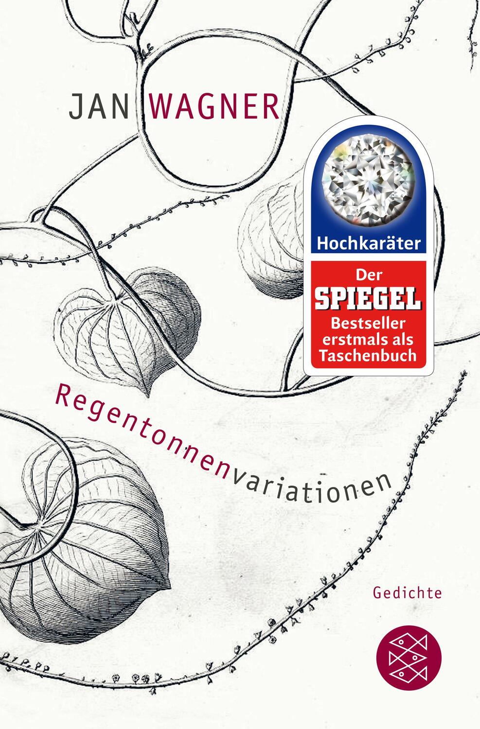 Cover: 9783596035977 | Regentonnenvariationen | Jan Wagner | Taschenbuch | Deutsch | 2016