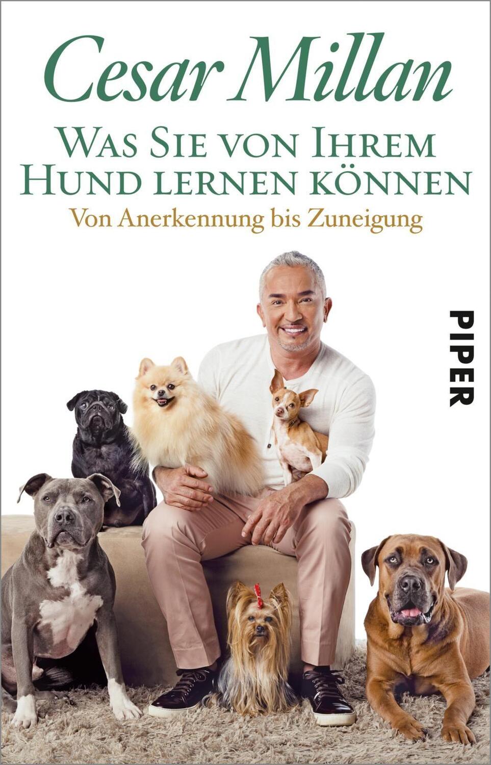 Cover: 9783492313544 | Was Sie von Ihrem Hund lernen können | Von Anerkennung bis Zuneigung