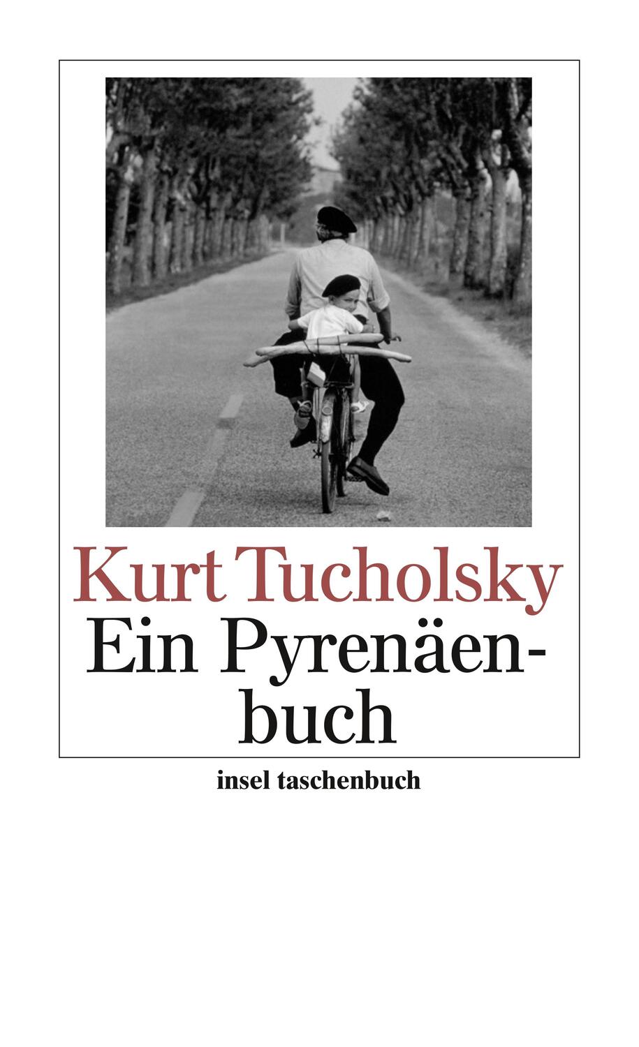 Ein Pyrenäenbuch - Tucholsky, Kurt