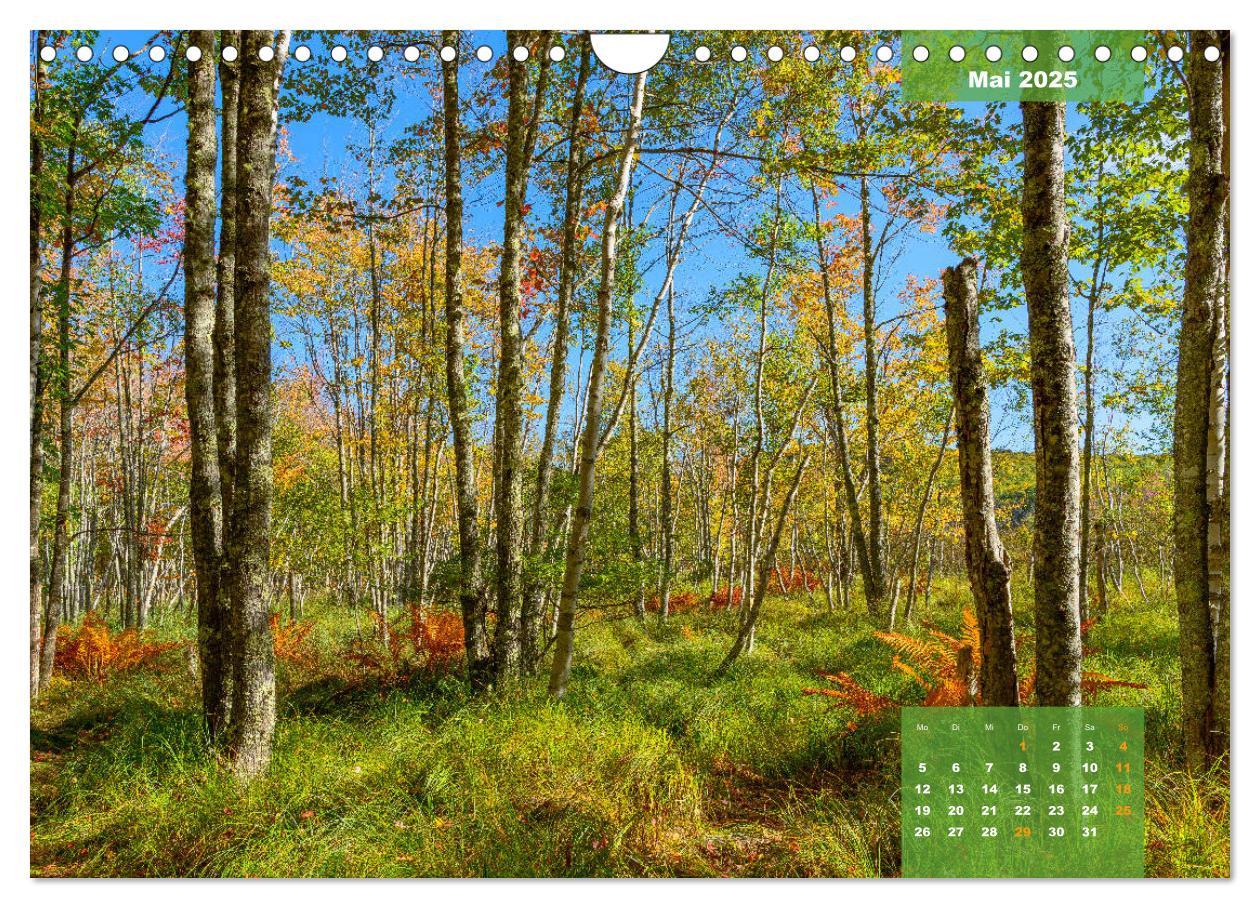 Bild: 9783435336425 | New England - Vielfalt einer Region (Wandkalender 2025 DIN A4...