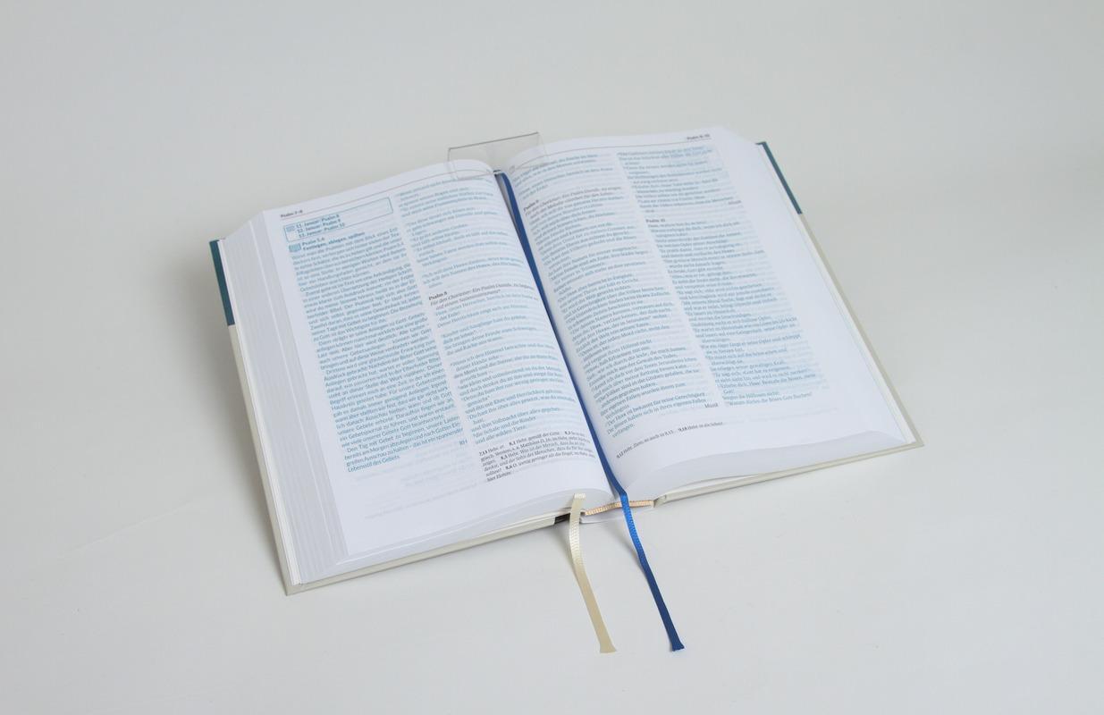 Bild: 9783417020298 | Neues Leben. Die Bibel zum Beten | Ulrich Wendel (u. a.) | Buch | 2023