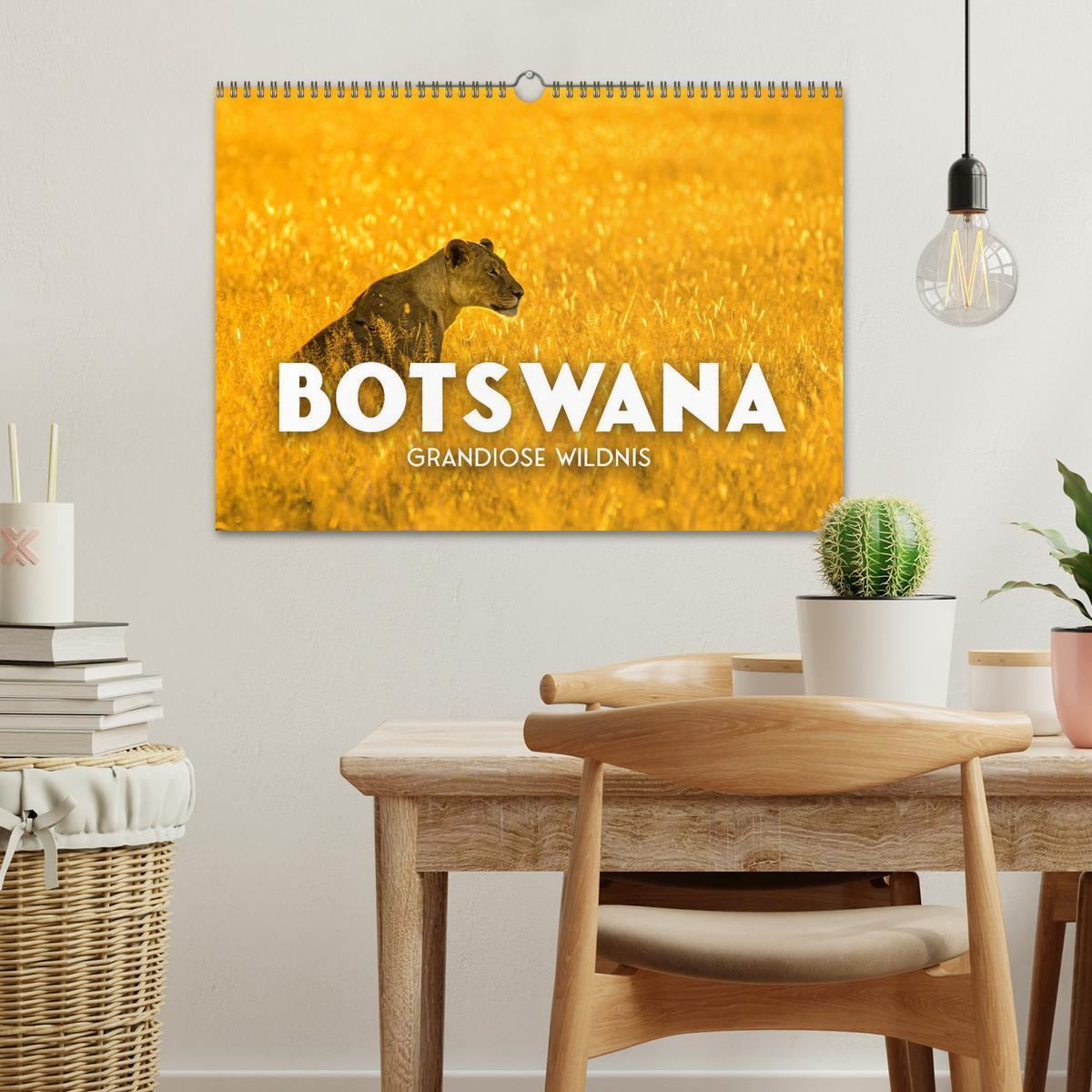 Bild: 9783383957031 | Botswana - Grandiose Wildnis (Wandkalender 2025 DIN A3 quer),...