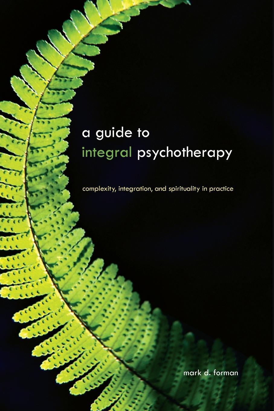Cover: 9781438430249 | A Guide to Integral Psychotherapy | Mark D. Forman | Taschenbuch