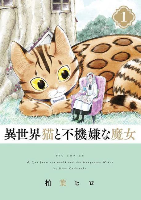 Cover: 9798888432594 | A Cat from Our World and the Forgotten Witch Vol. 1 | Hiro Kashiwaba