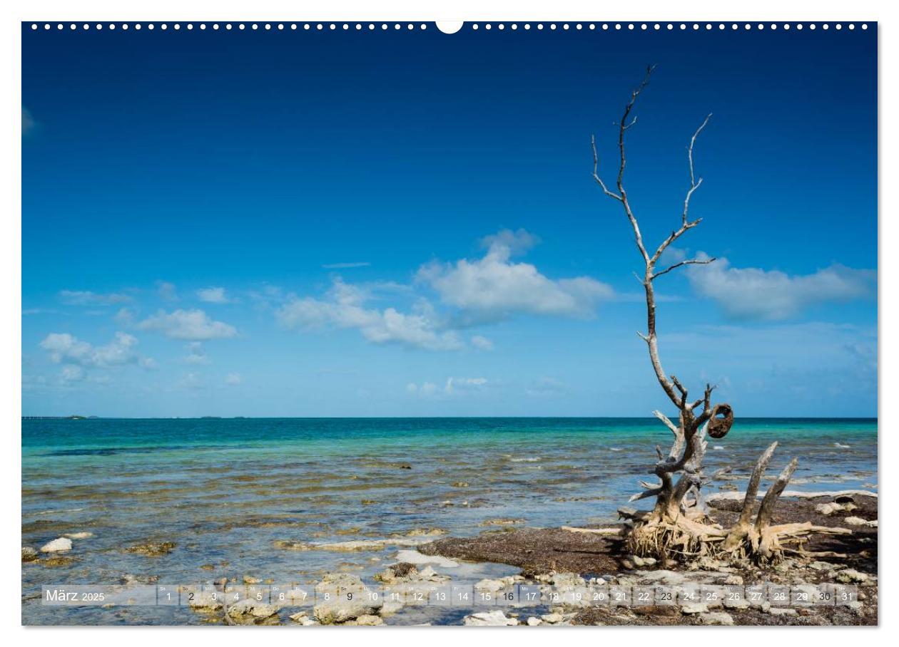 Bild: 9783435593309 | Florida. Sonne und Meer (hochwertiger Premium Wandkalender 2025 DIN...