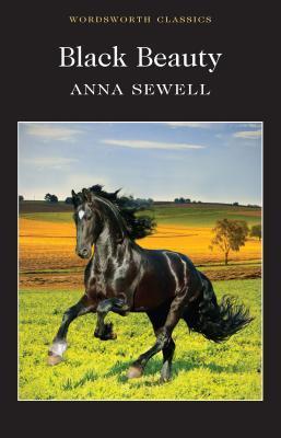 Cover: 9781840227611 | Black Beauty | Anna Sewell | Taschenbuch | Kartoniert / Broschiert