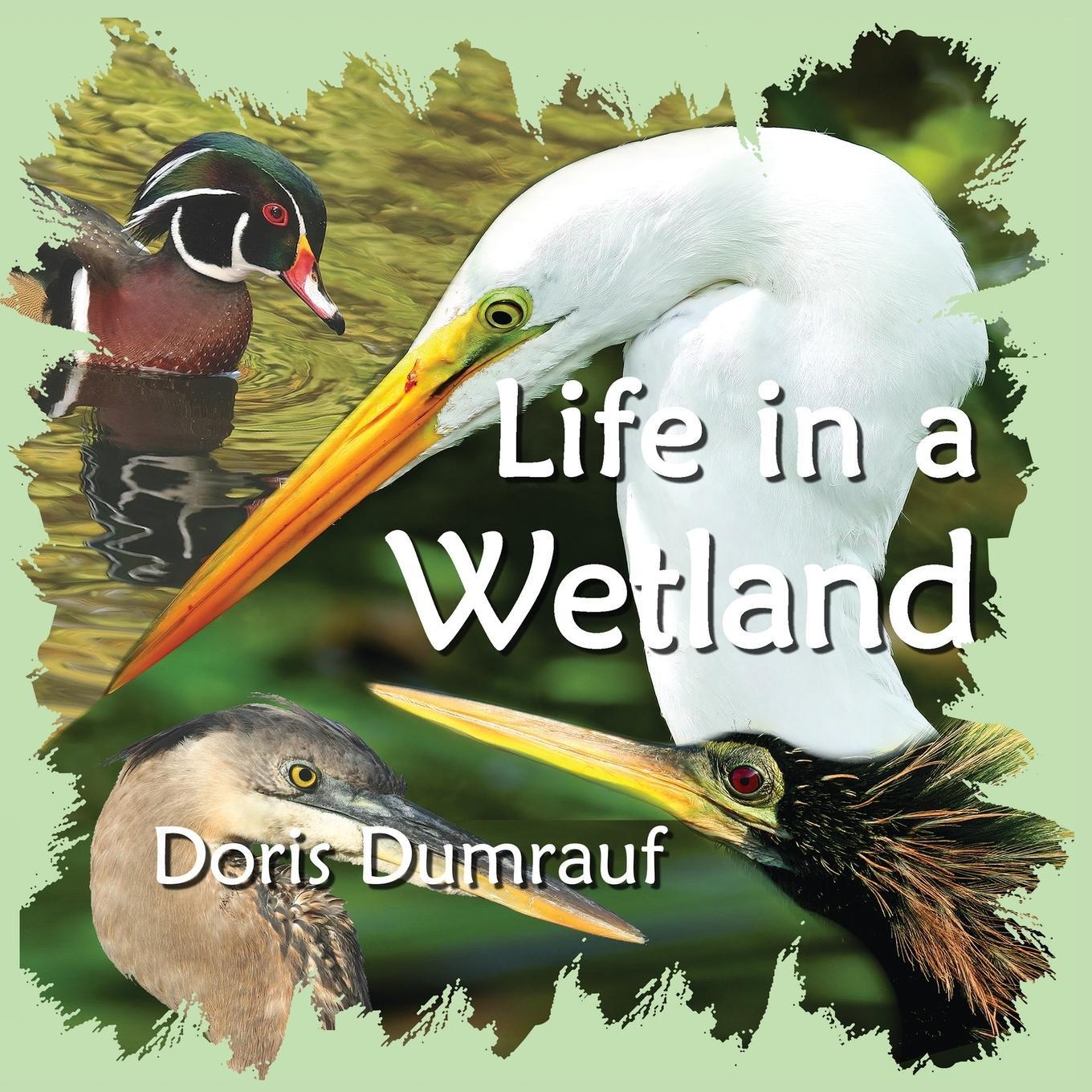 Cover: 9780997676723 | Life In A Wetland | Doris Dumrauf | Taschenbuch | Paperback | Englisch