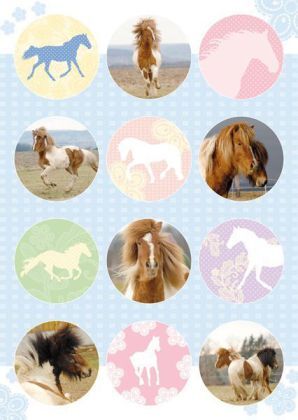 Bild: 9783772524783 | Puzzle-Ponys | Eine Geschichte für Leseanfänger. | Christa Ludwig